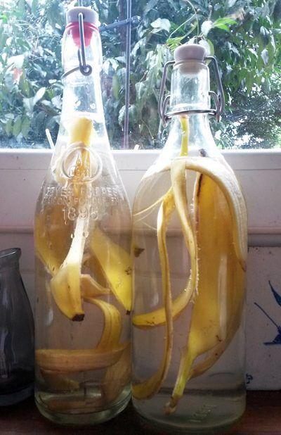 recycler les peaux de banane