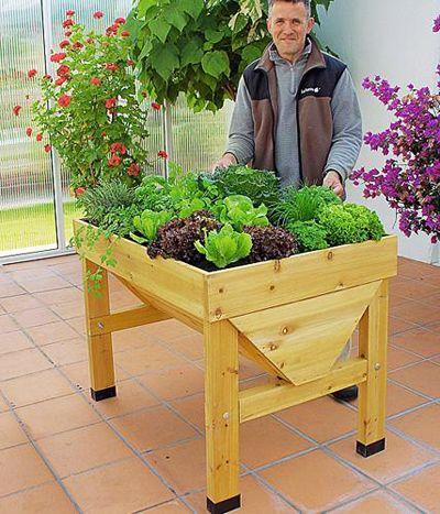hochbeet terrasse - Fabriquer un potager surélevé et cultiver hors-sol