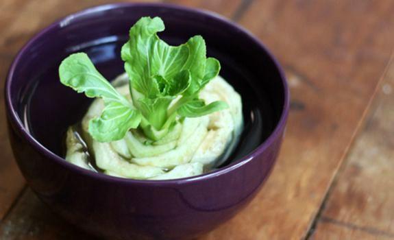 chou chinois Green Moxie - التكاثر الخضري: 15 فاكهة وخضروات تنمو مرة أخرى إلى أجل غير مسمى