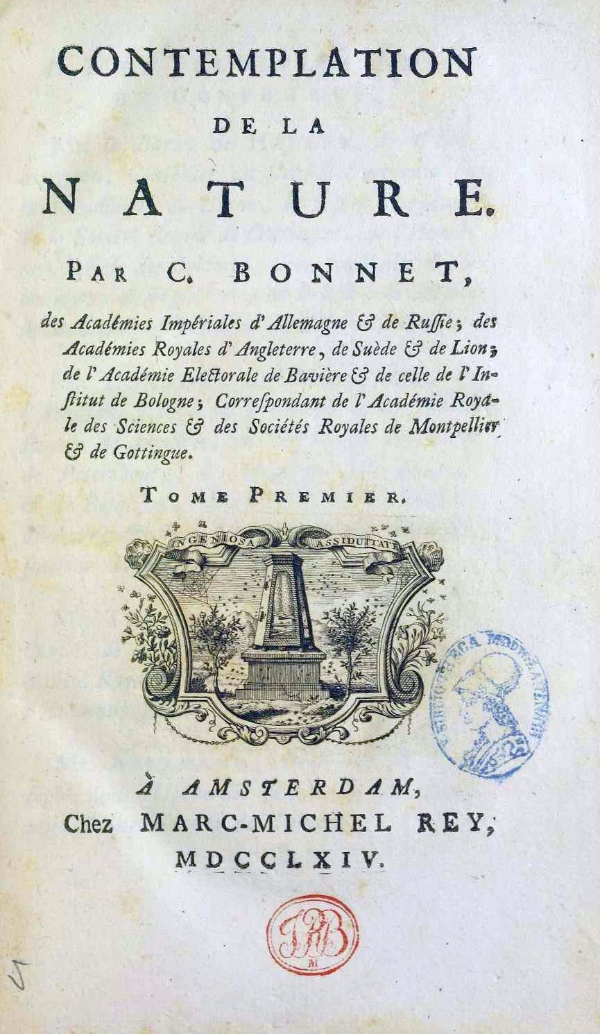 Aller vers « le beau » nous fait du bien