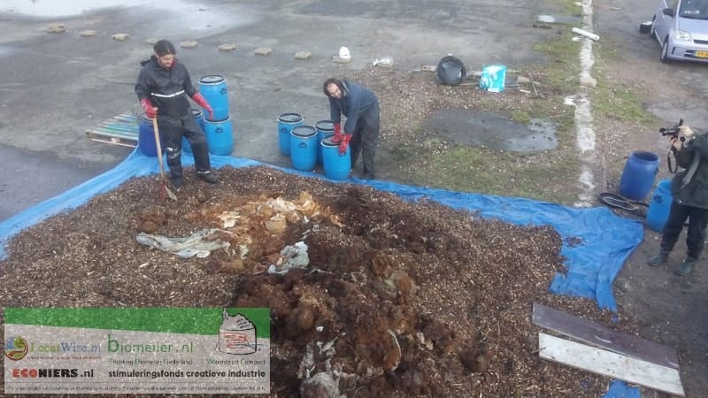 Compost : 5 règles importantes pour bien recycler ses déchets organiques
