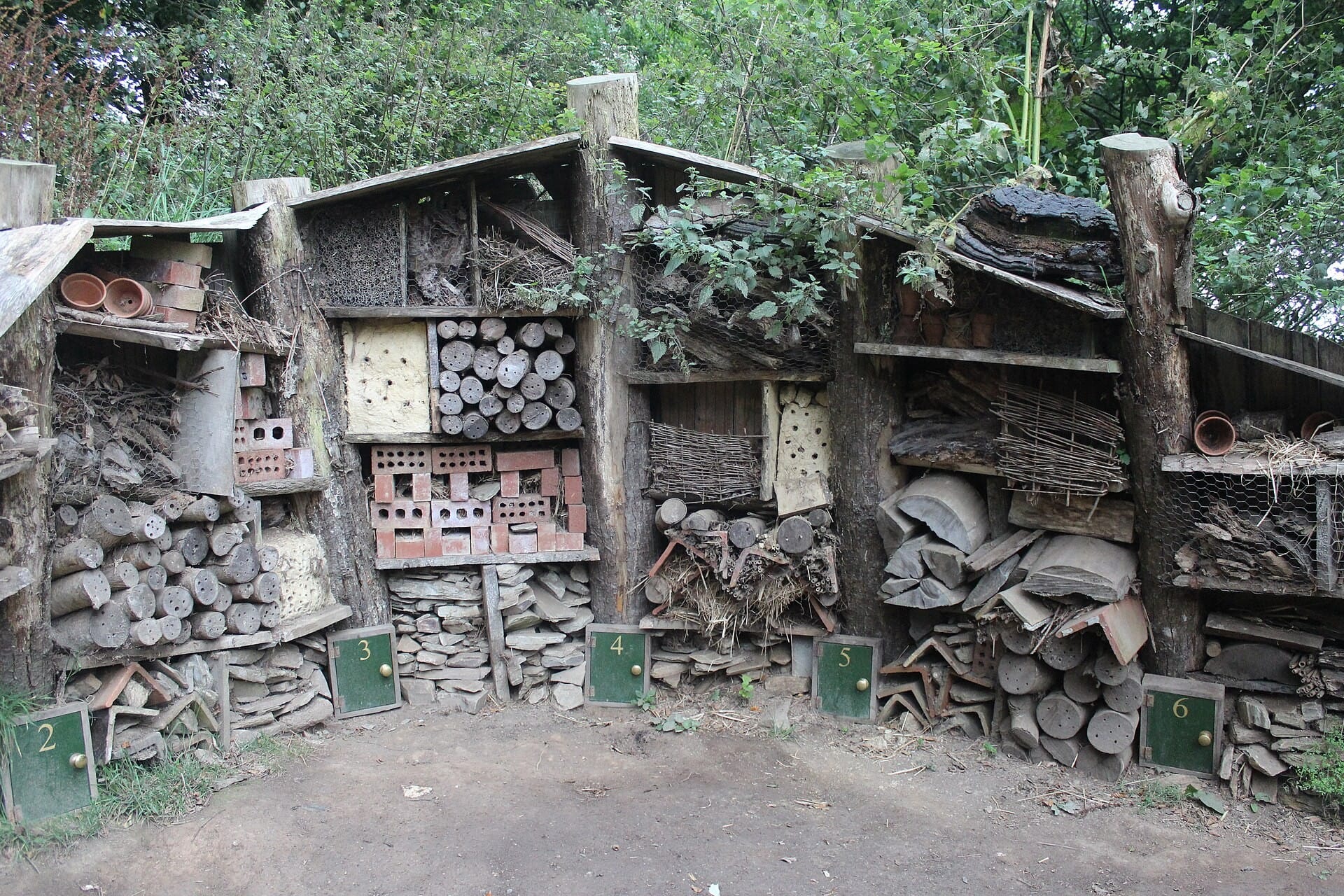 Construction d’un hôtel à insectes, une alternative efficace aux pesticides