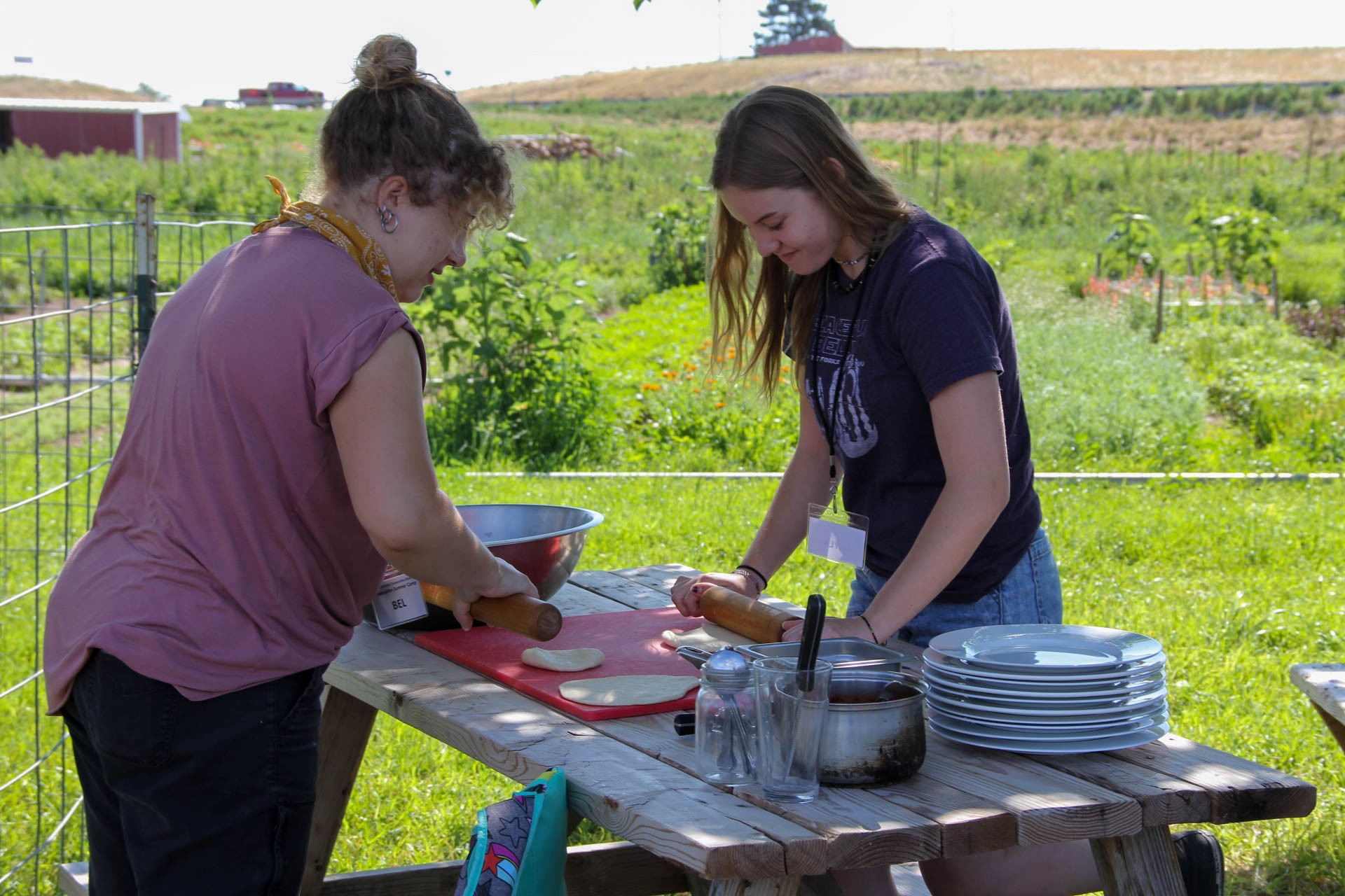 Des milliers d’emplois pour une agriculture sans pesticides