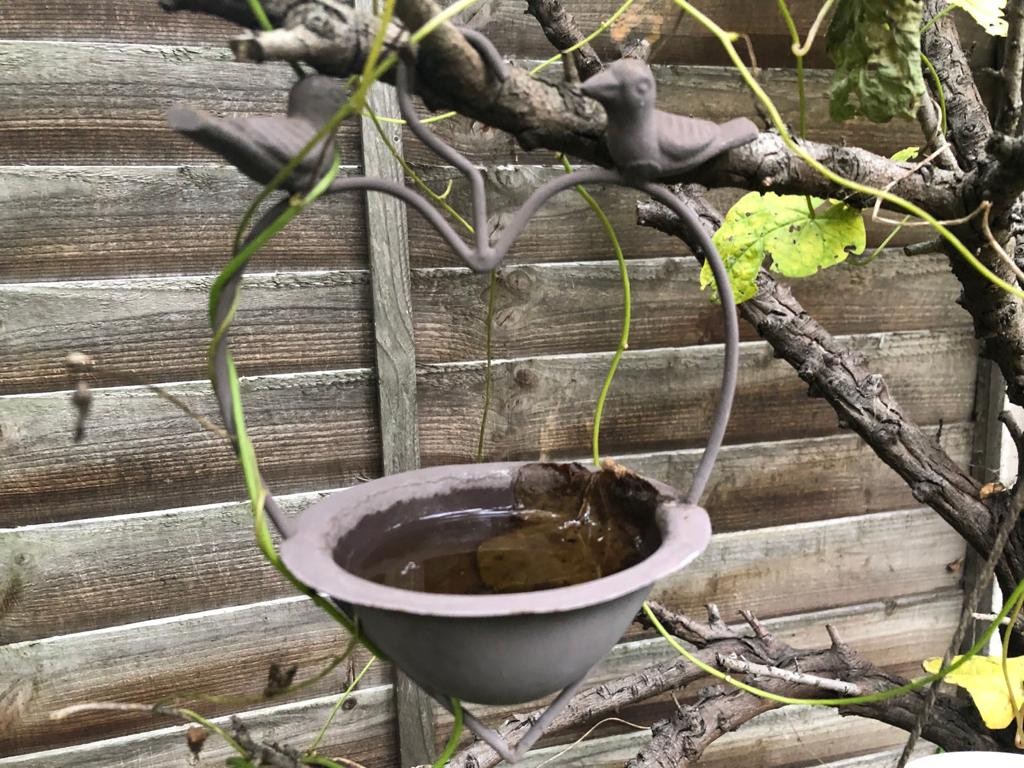 Mangeoire à oiseaux : 12 idées récup’ faciles à réaliser