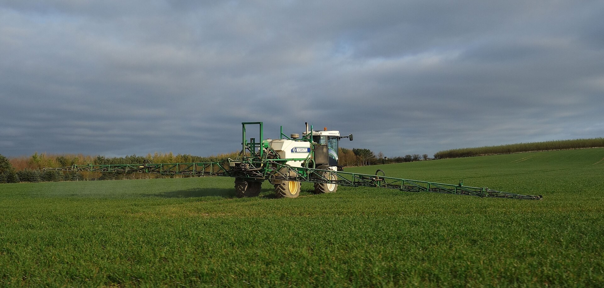 Pesticides le fléau est révélé : ils sont partout et n’épargnent personne