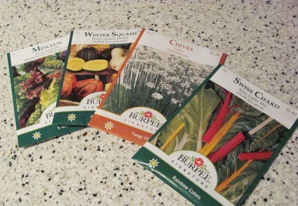 Graines anciennes : une rébellion pour la diversité et la qualité alimentaire