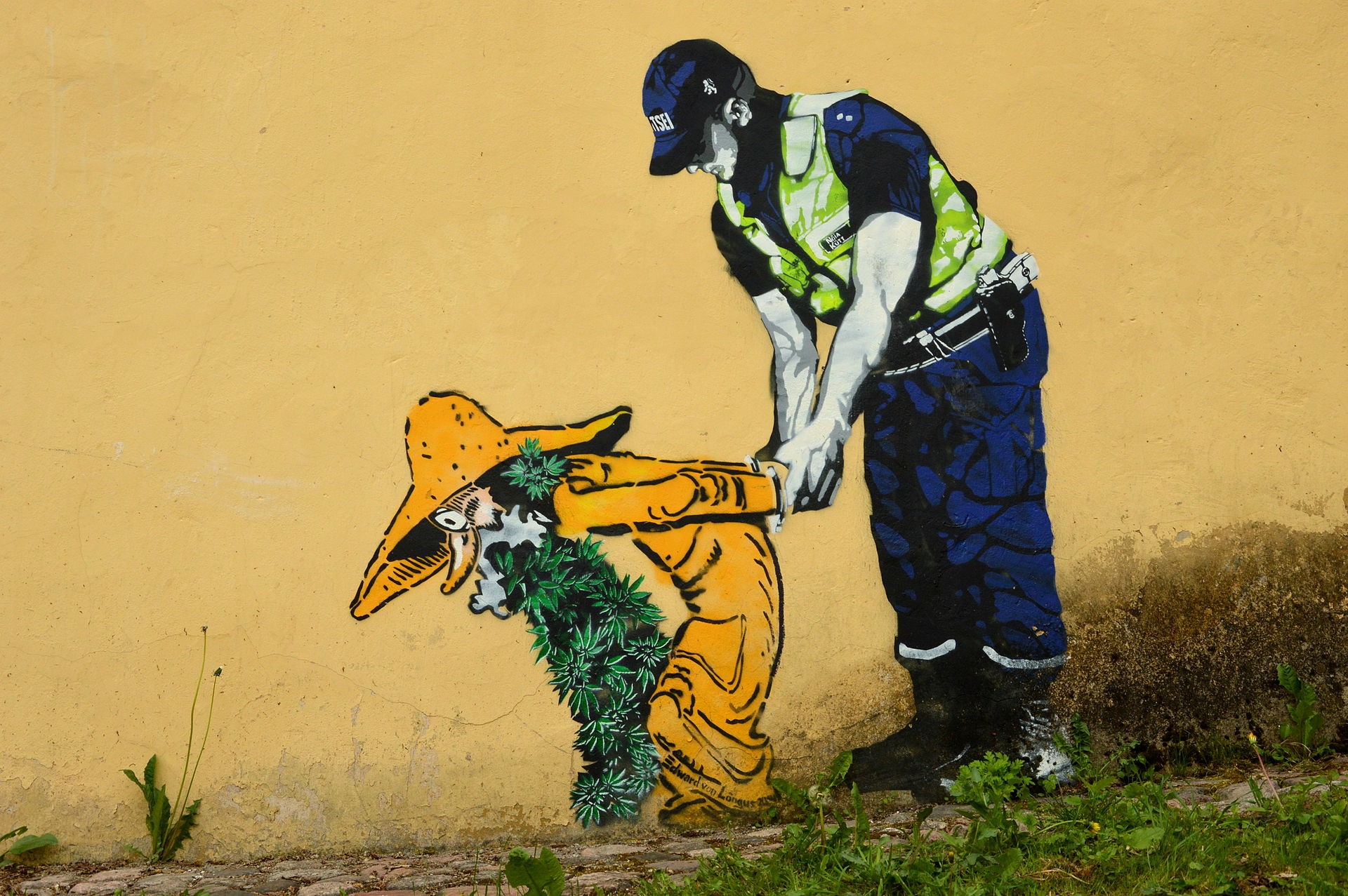 Le graffiti végétal en mousse naturelle facilement réalisable