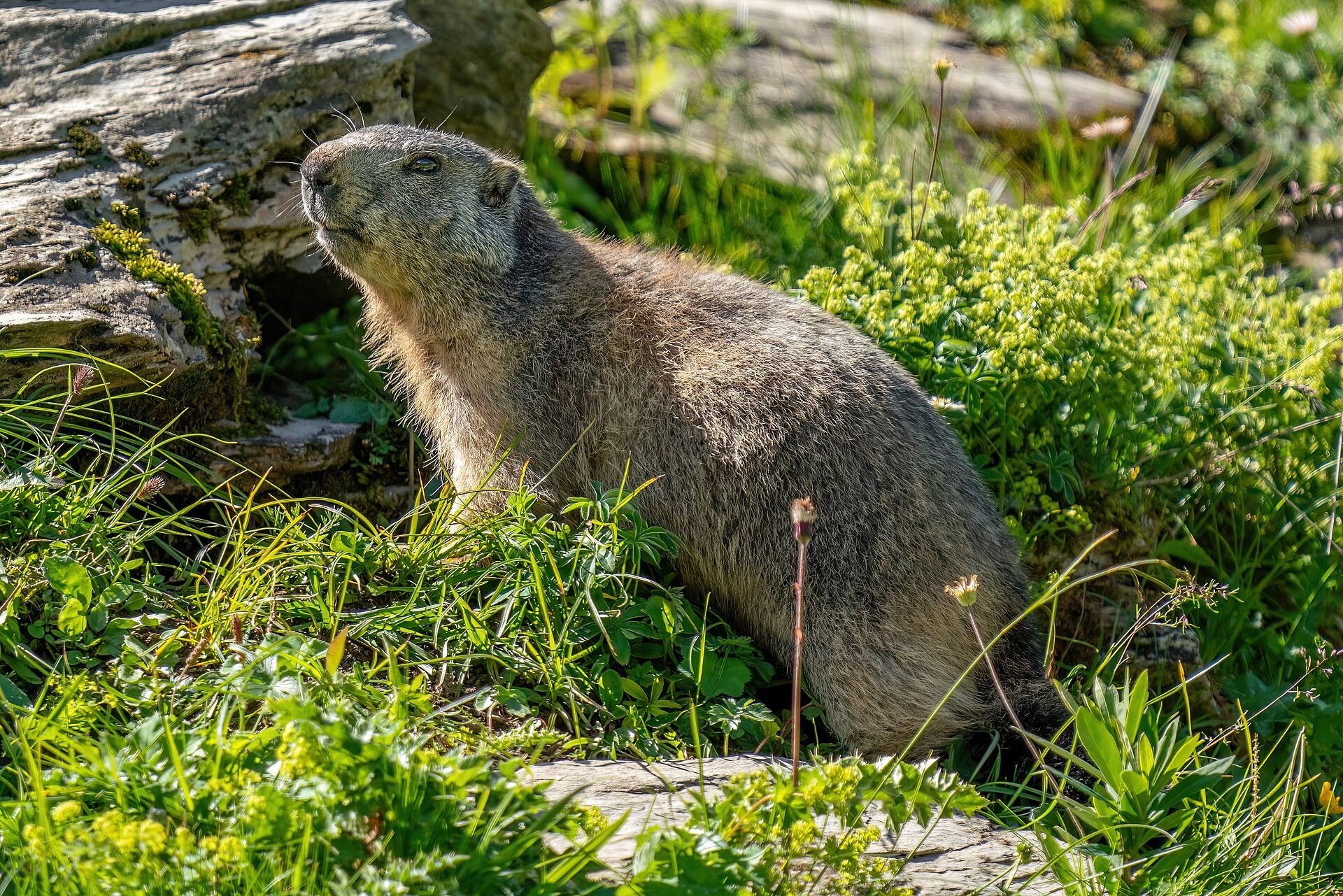 Les plus beaux parcs naturels protégés du monde créés récemment
