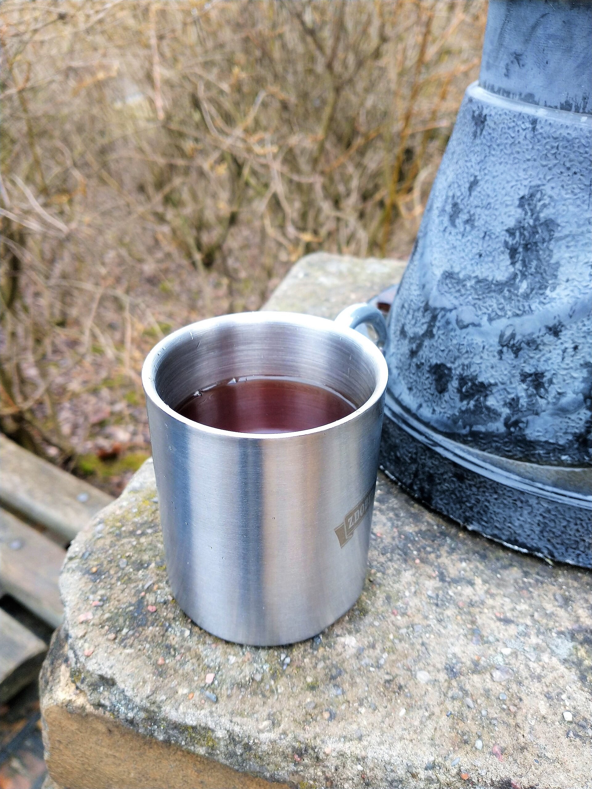Rooibos le soir : pourquoi cette infusion plaît autant