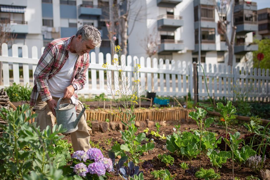 Permaculture urbaine : créer un écosystème sur 20m²