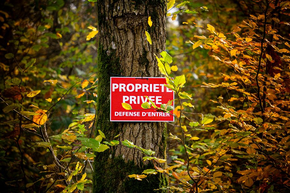 A French 'Private Property' sign on a tree amidst vibrant autumn foliage.